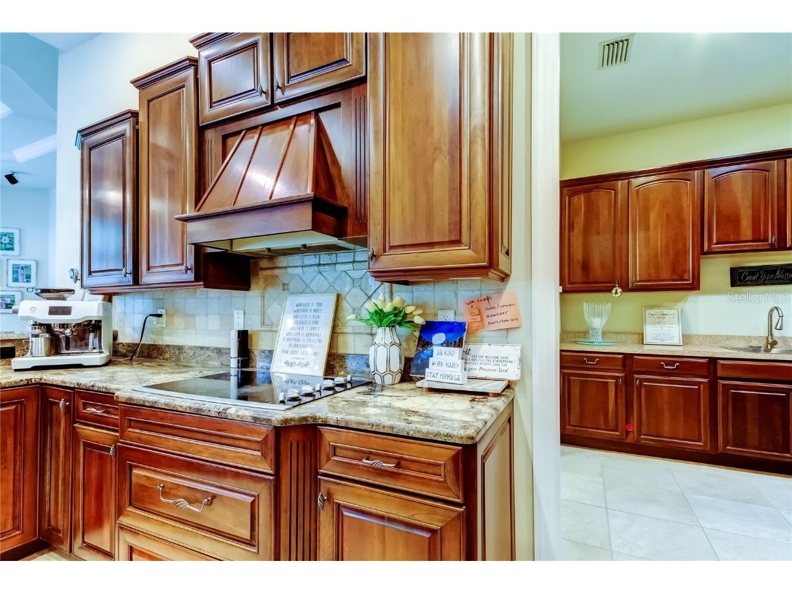 1503 Lake Polo Drive Odessa FL 33556 TB8427725 image18