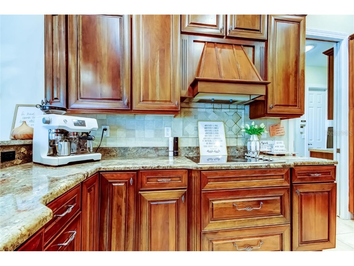 1503 Lake Polo Drive Odessa FL 33556 TB8427725 image22