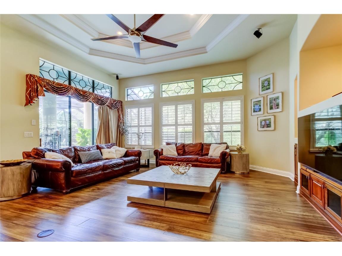 1503 Lake Polo Drive Odessa FL 33556 TB8427725 image28