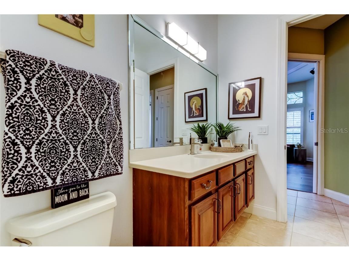 1503 Lake Polo Drive Odessa FL 33556 TB8427725 image33