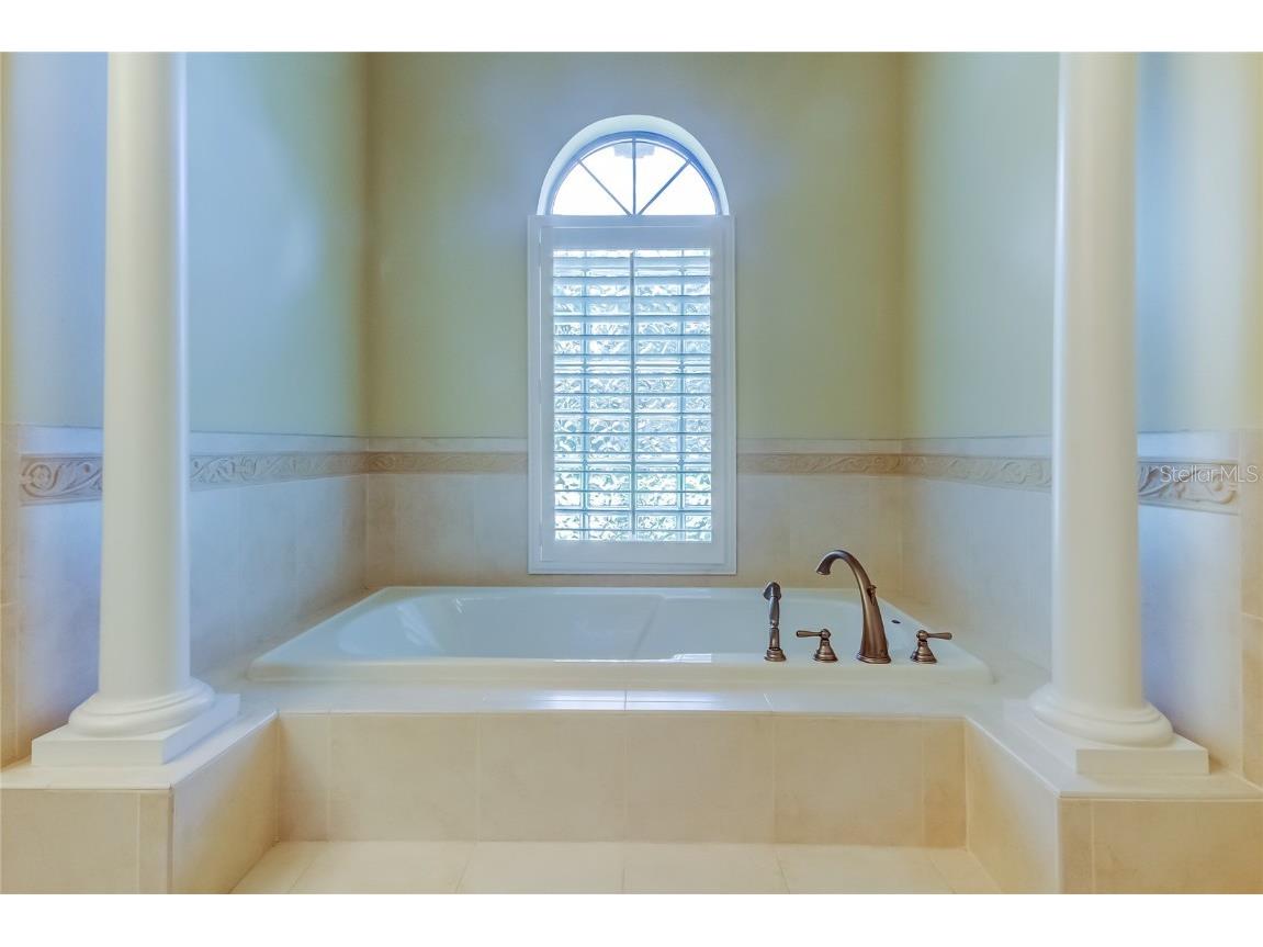 1503 Lake Polo Drive Odessa FL 33556 TB8427725 image45