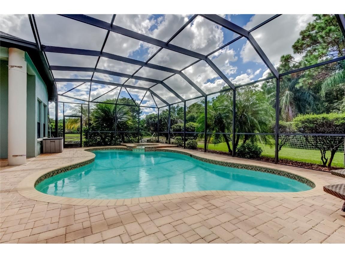 1503 Lake Polo Drive Odessa FL 33556 TB8427725 image59