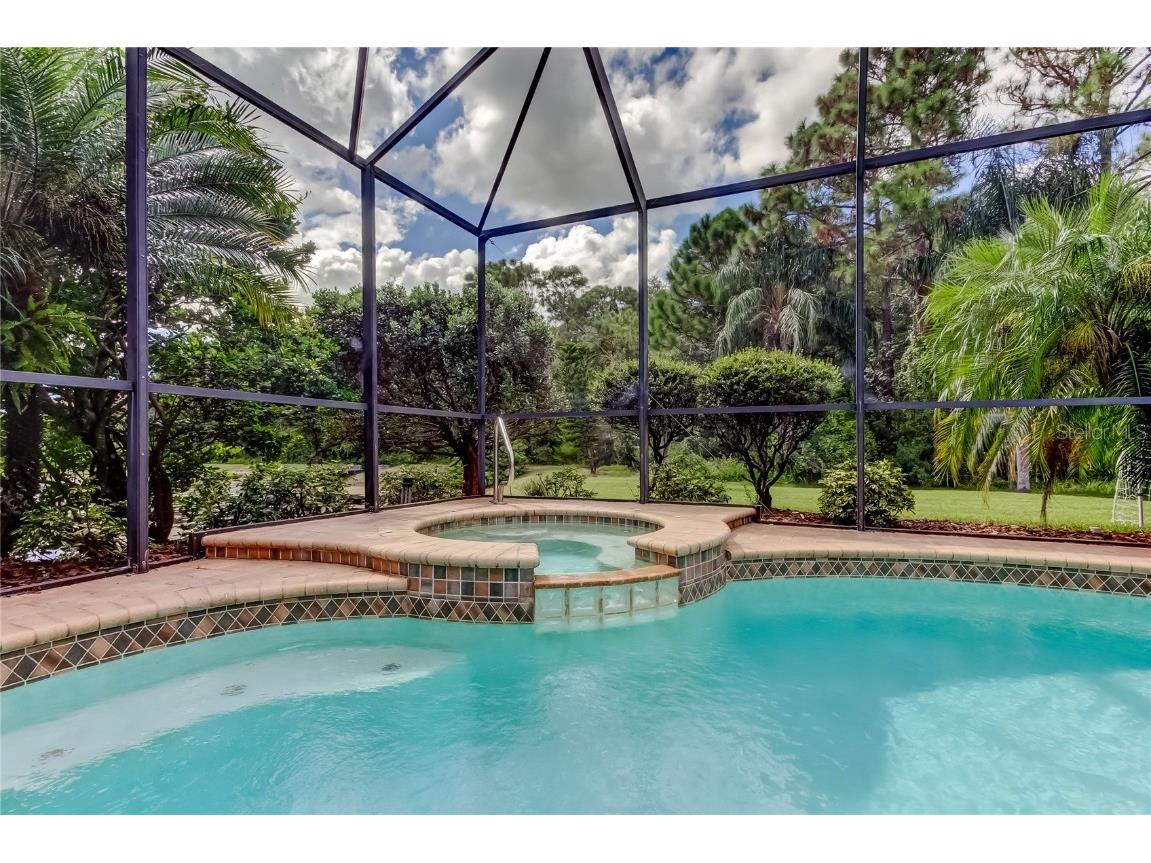 1503 Lake Polo Drive Odessa FL 33556 TB8427725 image60