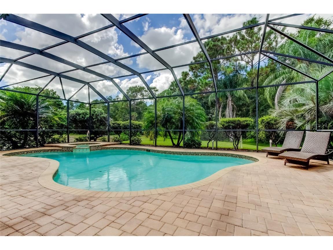 1503 Lake Polo Drive Odessa FL 33556 TB8427725 image62