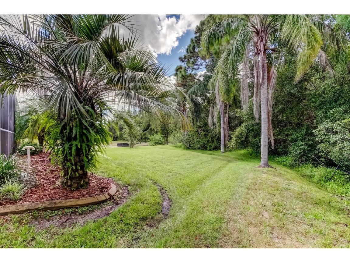 1503 Lake Polo Drive Odessa FL 33556 TB8427725 image63