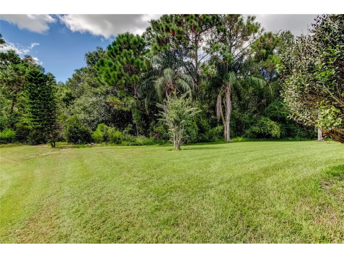 1503 Lake Polo Drive Odessa FL 33556 TB8427725 image64