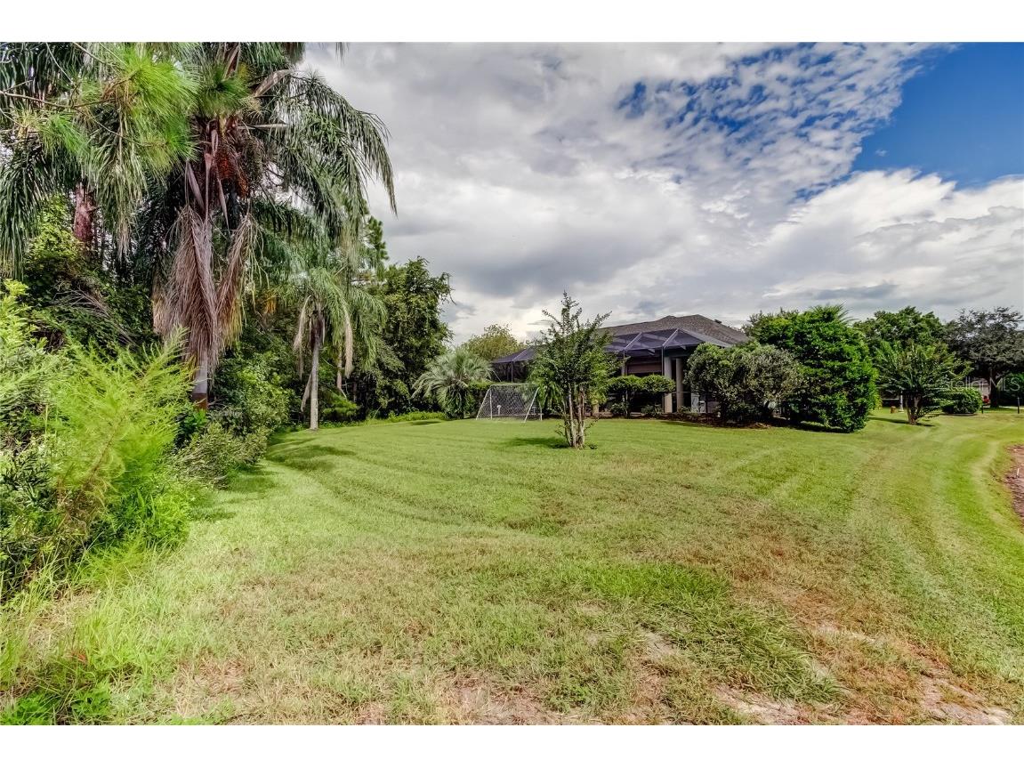 1503 Lake Polo Drive Odessa FL 33556 TB8427725 image66