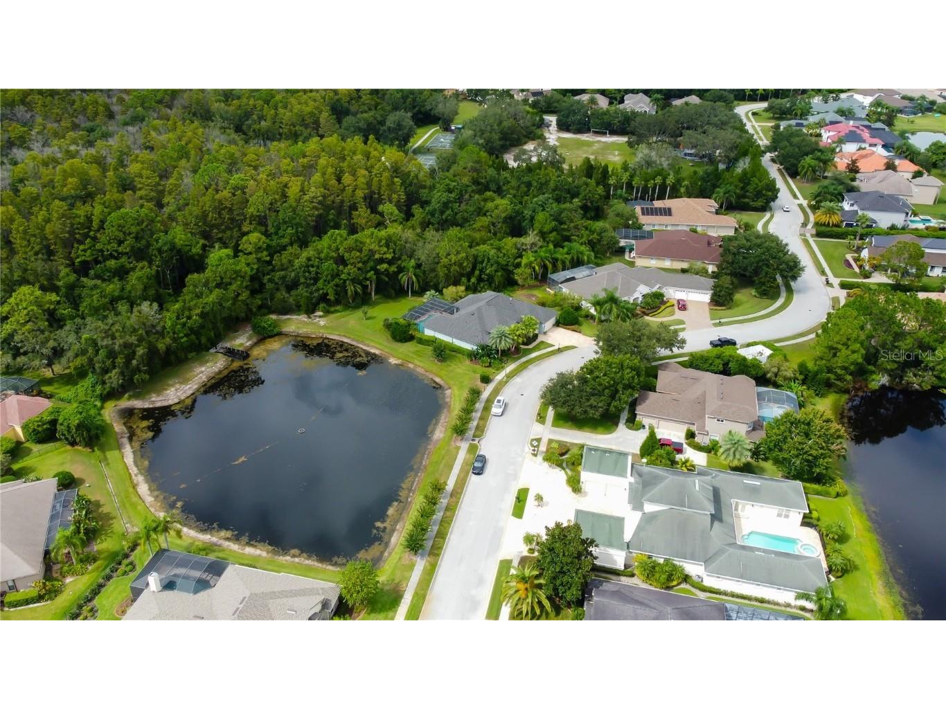 1503 Lake Polo Drive Odessa FL 33556 TB8427725 image76