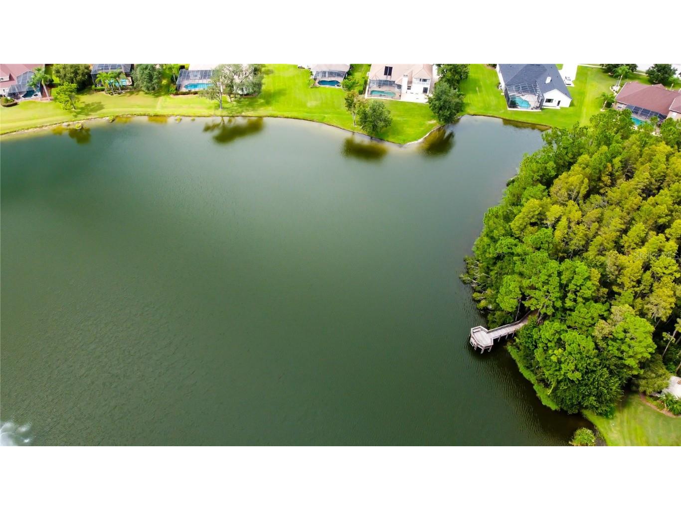 1503 Lake Polo Drive Odessa FL 33556 TB8427725 image80