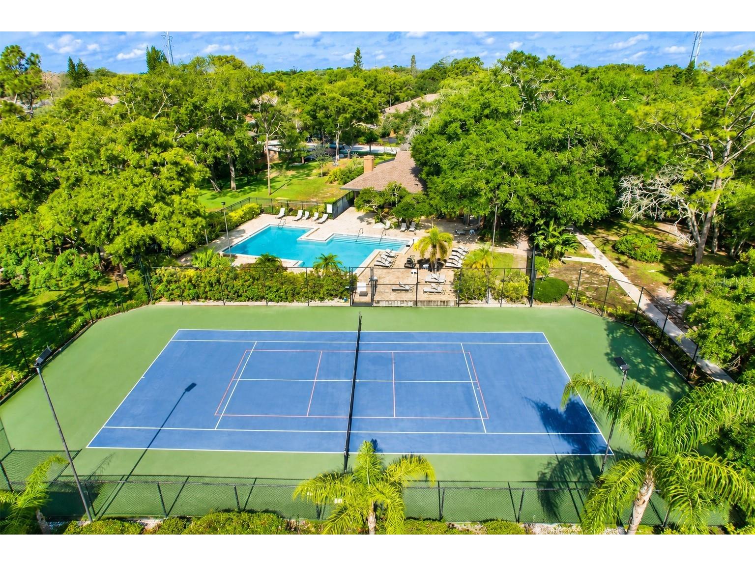 1503 Lennox Road E #1503 Palm Harbor FL 34683 TB8522678 image19