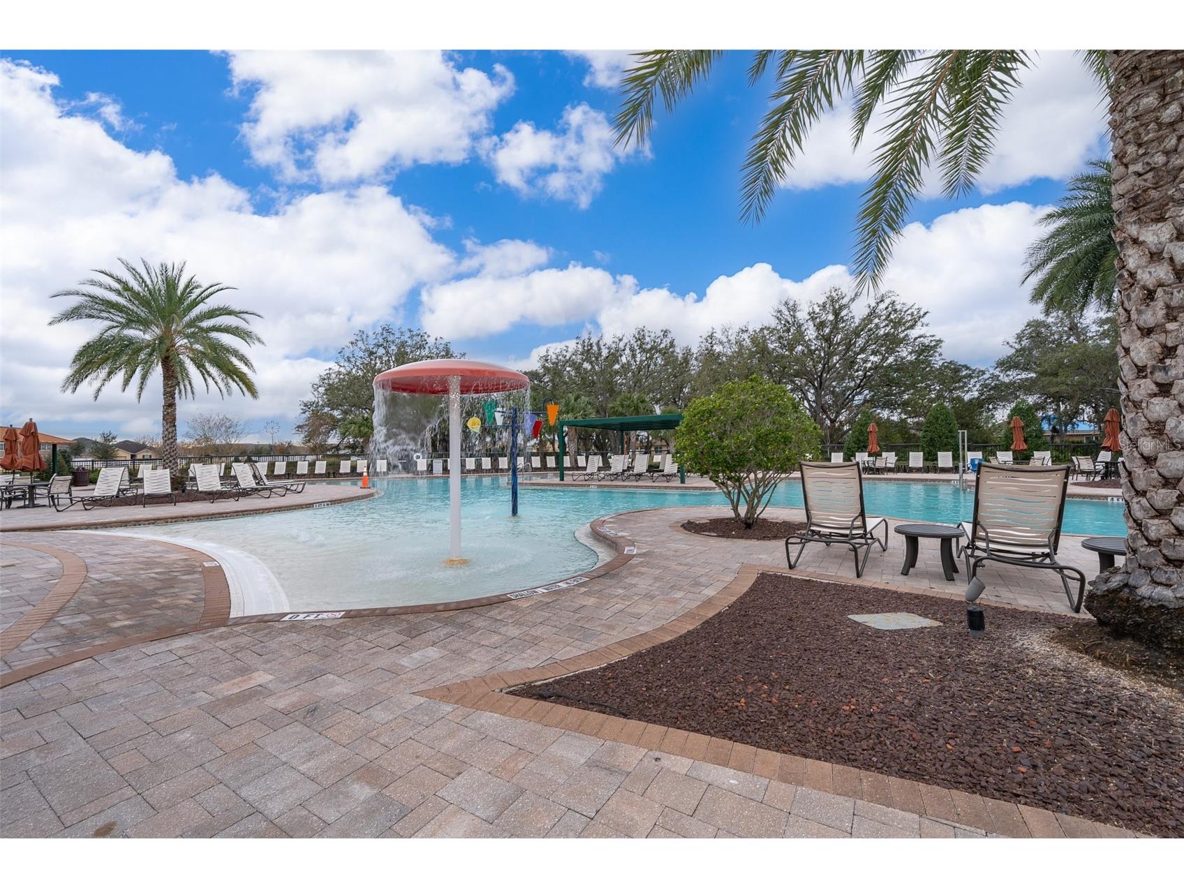 1503 Oak Reserve Drive Kissimmee FL 34744 S5144250 image33