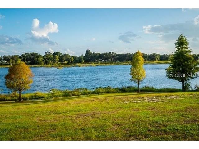 1503 S Highland Park Drive Lake Wales FL 33898 - LAKE EASY S5128193 image6