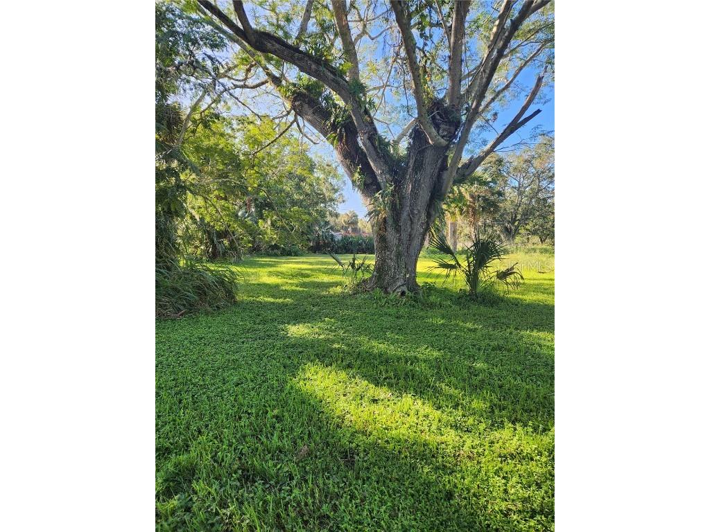 1503 W 7th Street Sanford FL 32771 O6253135 image1