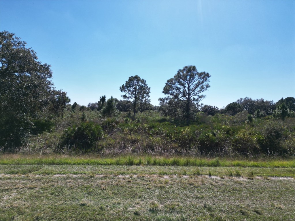 15031 NW 262nd Street Okeechobee FL 34972 OK225704 image2