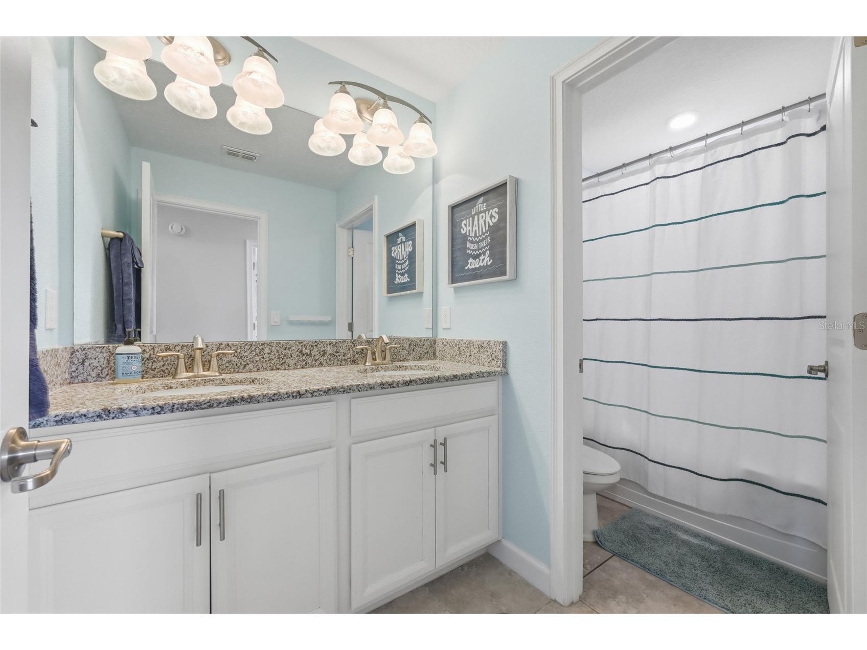 15031 Purple Martin Street Winter Garden FL 34787 O6404626 image34