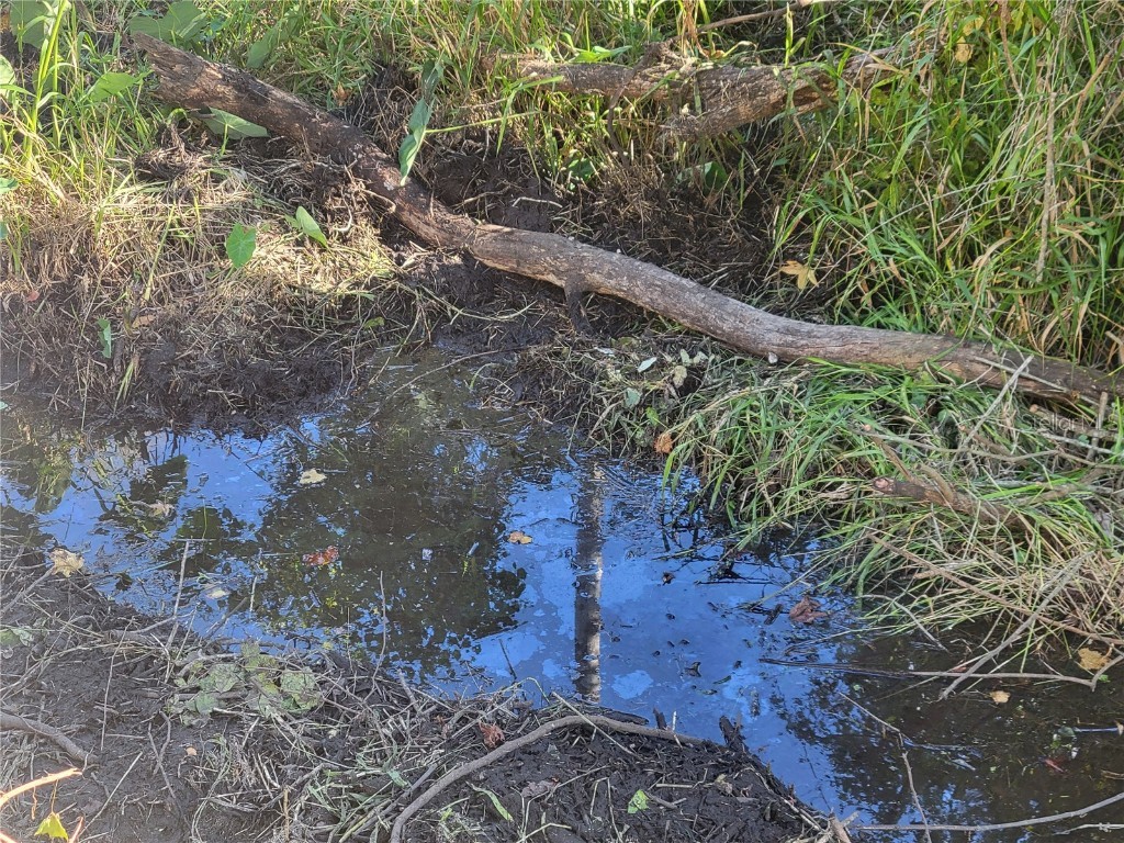 15031 SE 189th Place Hawthorne FL 32640 - ORANGE LAKE/ORANGE LAKE CANAL GC534722 image34