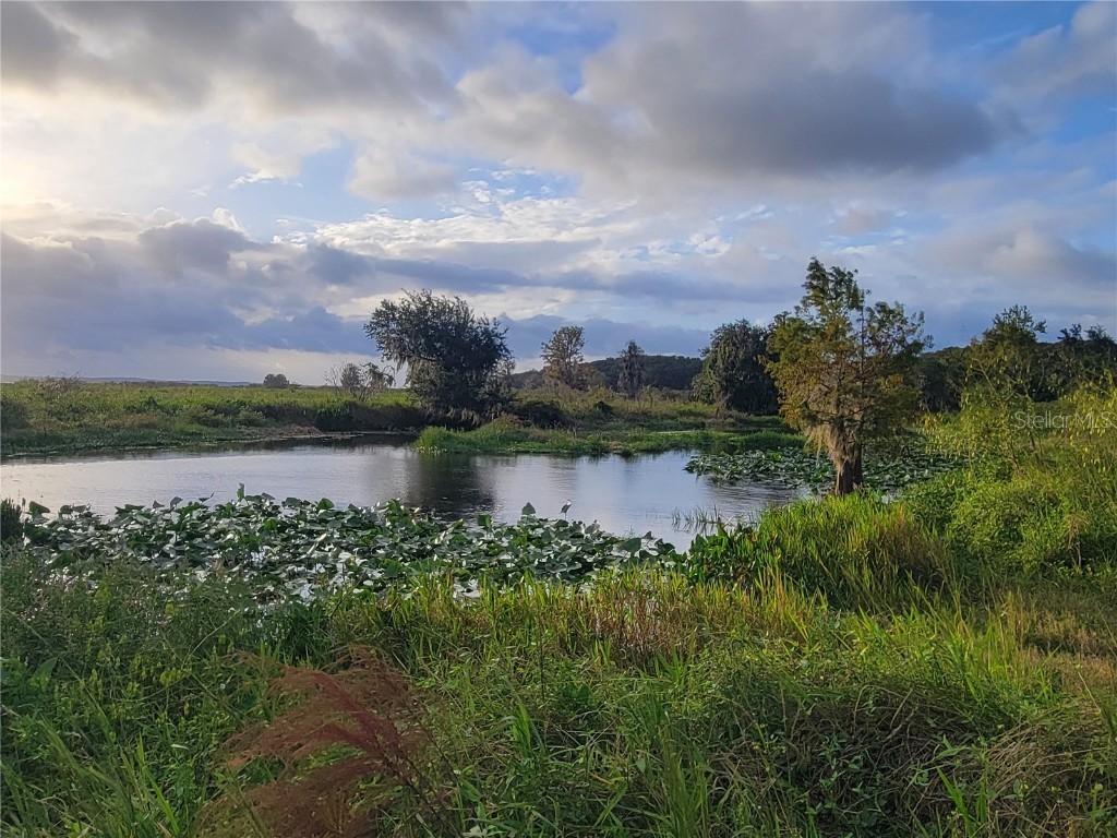 15031 SE 189th Place Hawthorne FL 32640 - ORANGE LAKE/ORANGE LAKE CANAL GC534722 image49