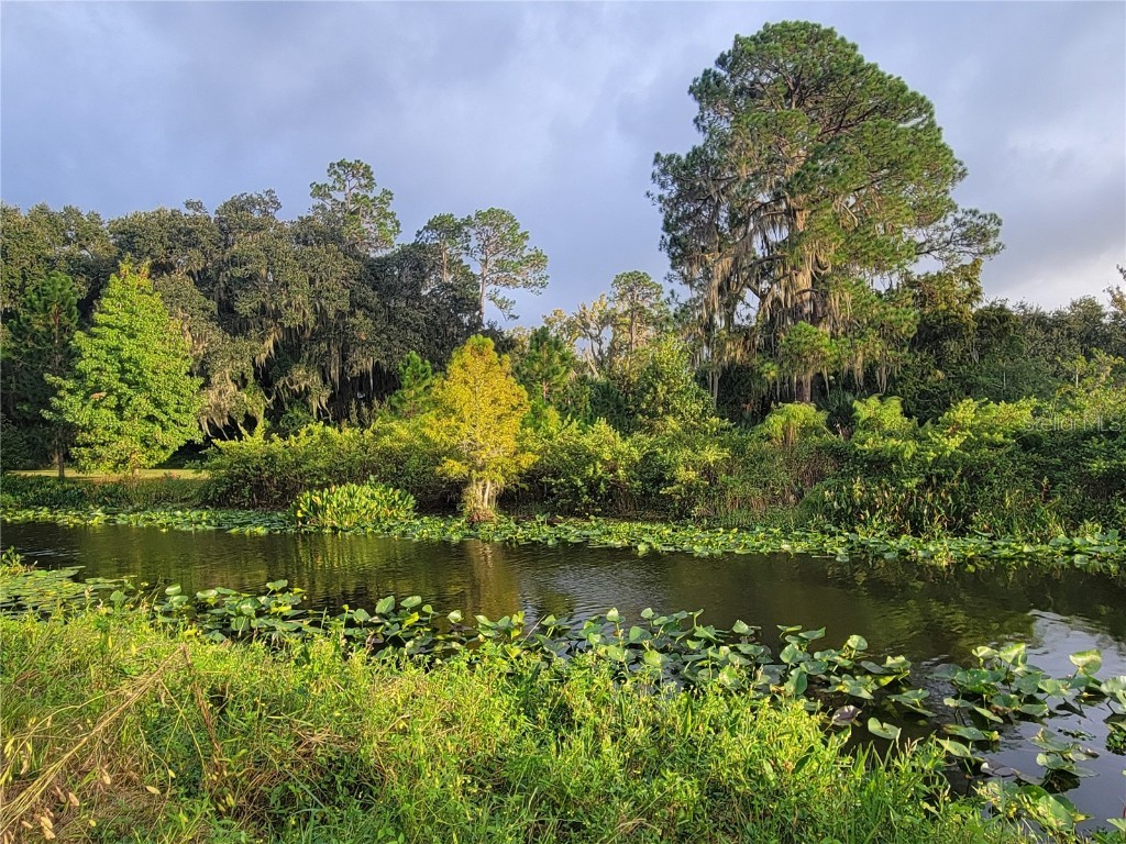 15031 SE 189th Place Hawthorne FL 32640 - ORANGE LAKE/ORANGE LAKE CANAL GC534722 image50