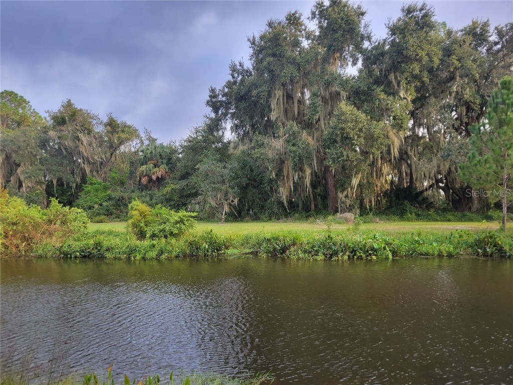 15031 SE 189th Place Hawthorne FL 32640 - ORANGE LAKE/ORANGE LAKE CANAL GC534722 image51