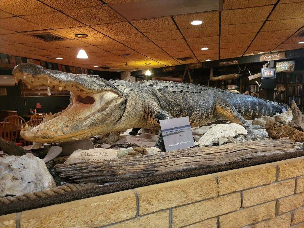 15031 SE 189th Place Hawthorne FL 32640 - ORANGE LAKE/ORANGE LAKE CANAL GC534722 image56