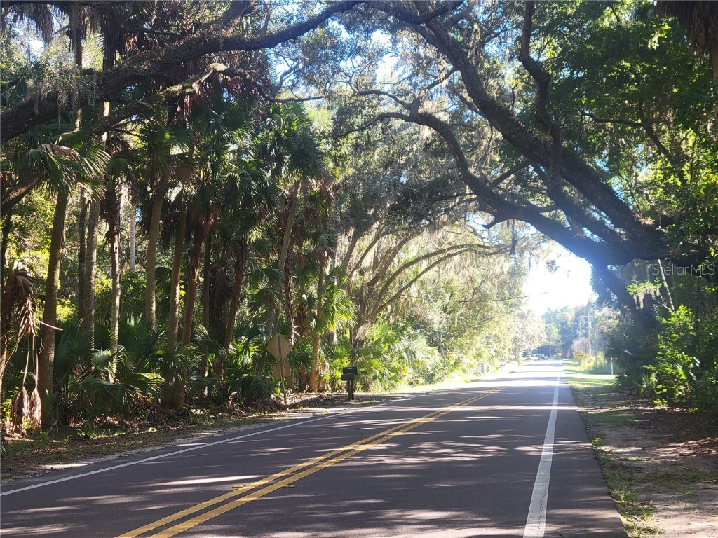 15031 SE 189th Place Hawthorne FL 32640 - ORANGE LAKE/ORANGE LAKE CANAL GC534722 image58