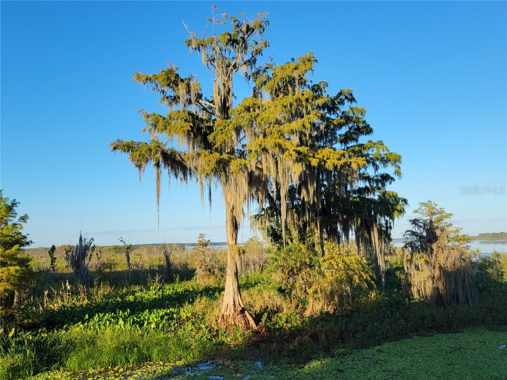 15031 SE 189th Place Hawthorne FL 32640 - ORANGE LAKE/ORANGE LAKE CANAL GC534722 image62