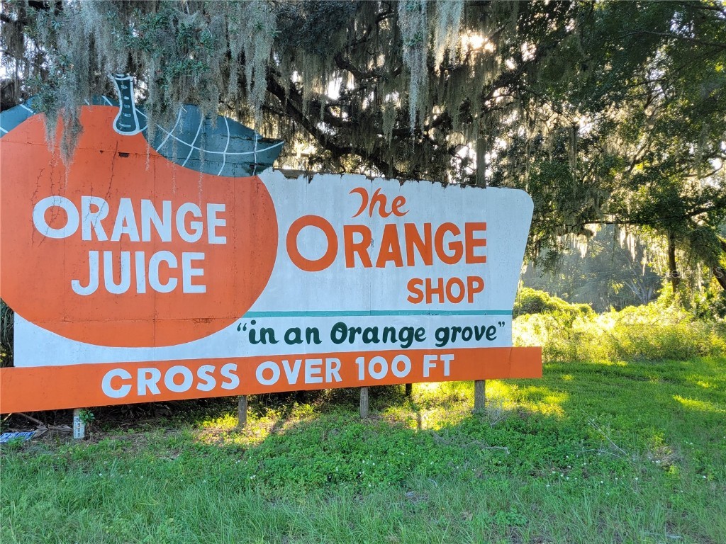 15031 SE 189th Place Hawthorne FL 32640 - ORANGE LAKE/ORANGE LAKE CANAL GC534722 image63