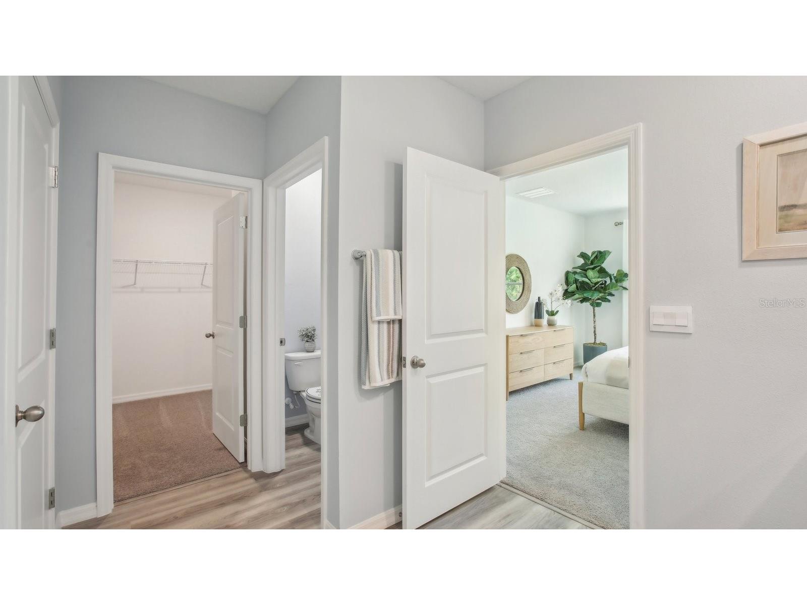 15032 Crosshall Stream Drive Wimauma FL 33598 TB8480061 image25