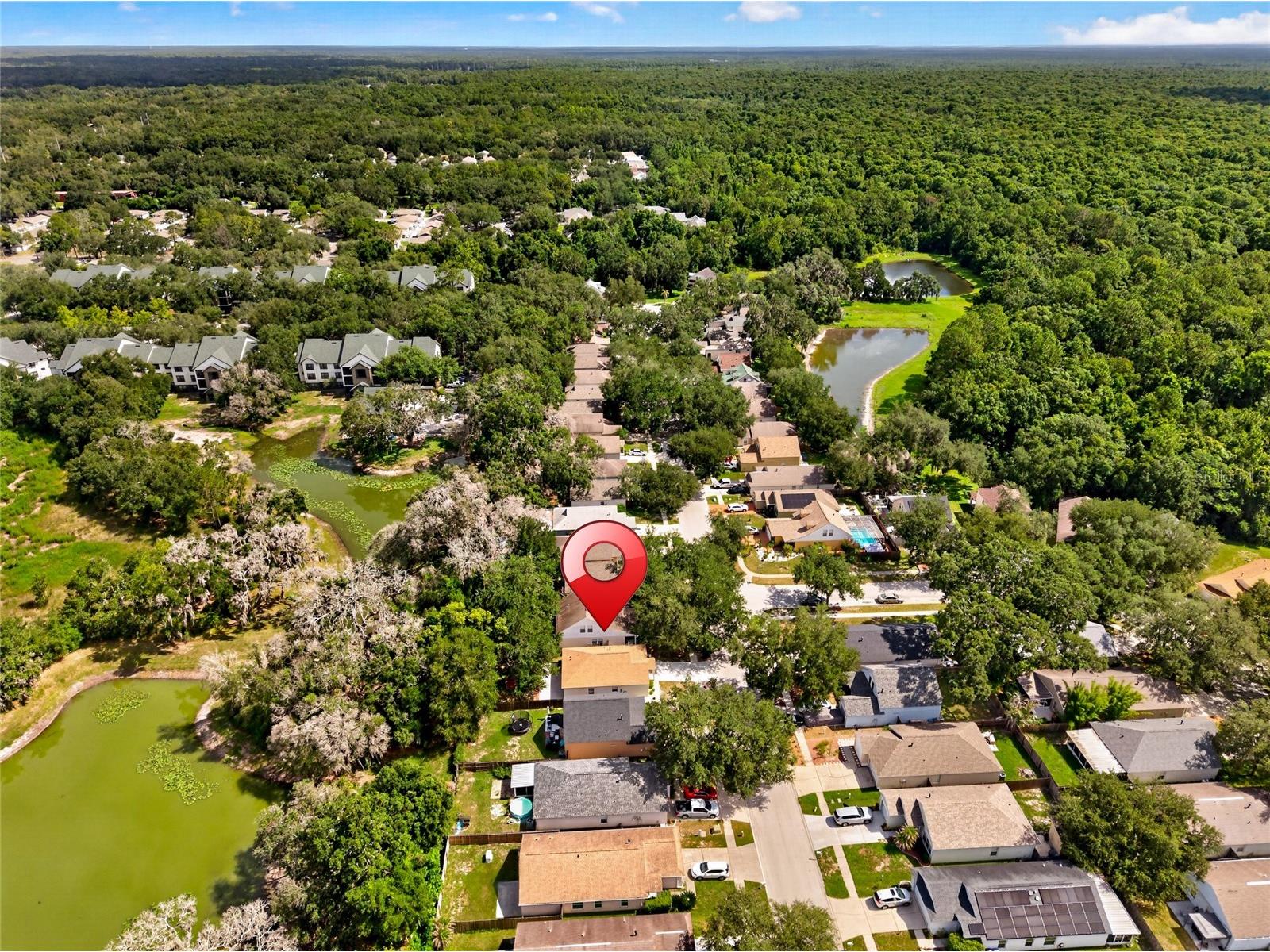15032 Deer Meadow Drive Lutz FL 33559 TB8520174 image45