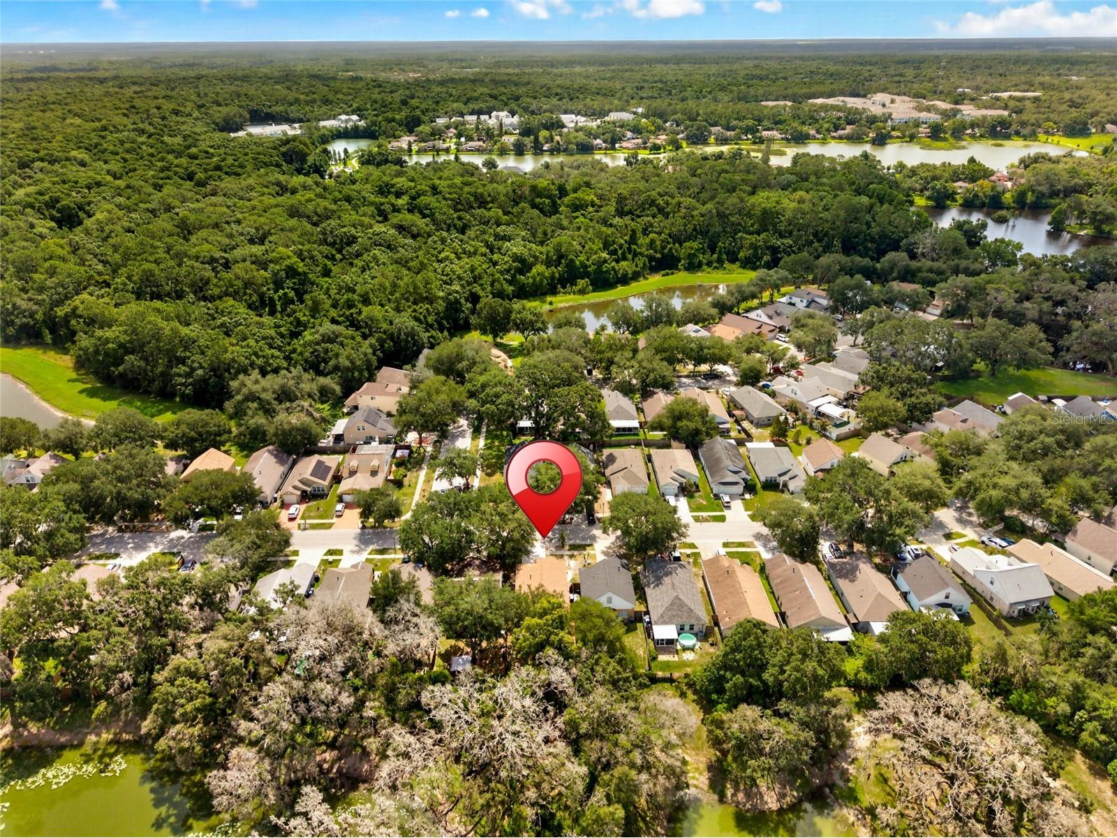 15032 Deer Meadow Drive Lutz FL 33559 TB8520174 image46