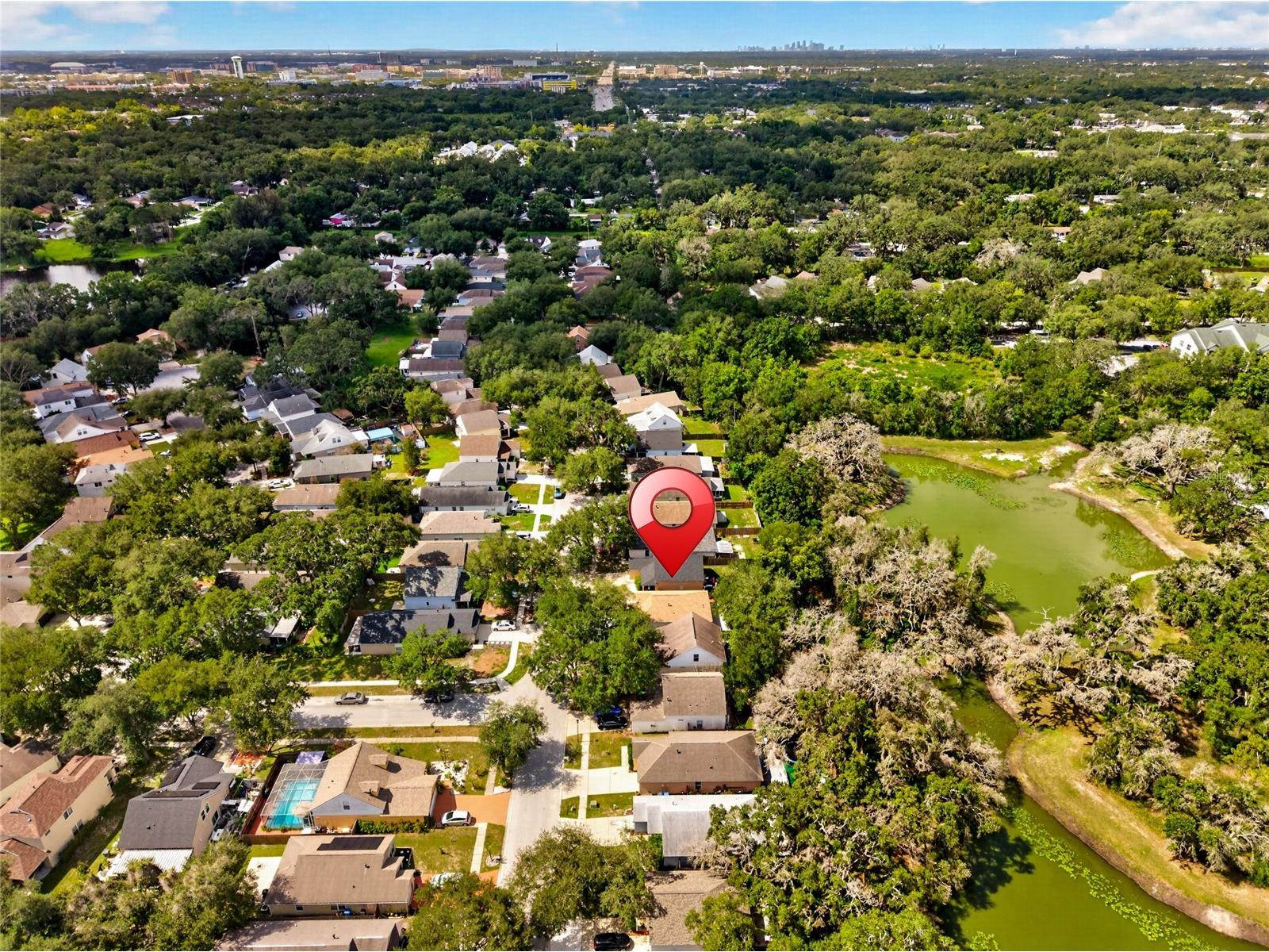 15032 Deer Meadow Drive Lutz FL 33559 TB8520174 image47