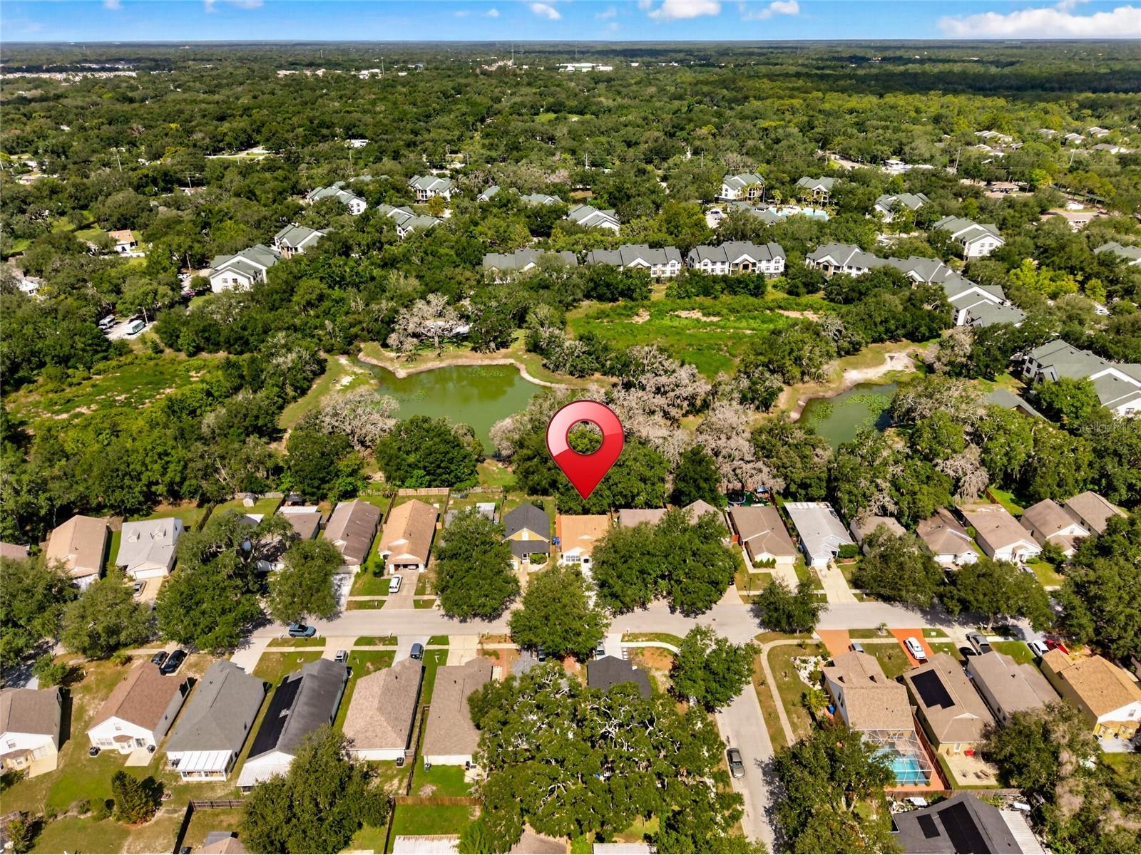 15032 Deer Meadow Drive Lutz FL 33559 TB8520174 image48
