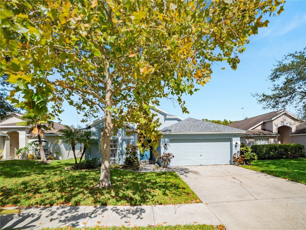 15032 Shaw Road Tampa FL 33625 T3474765 image1