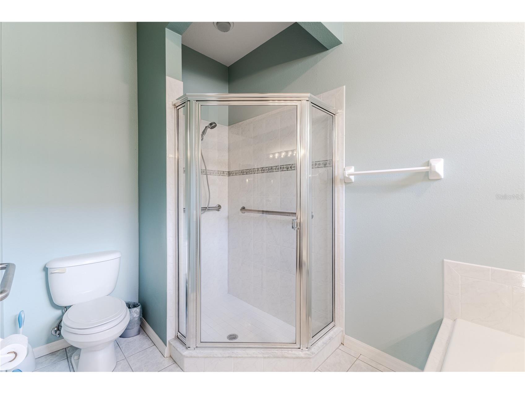 15033 Middle Fairway Drive Spring Hill FL 34609 W7880969 image20