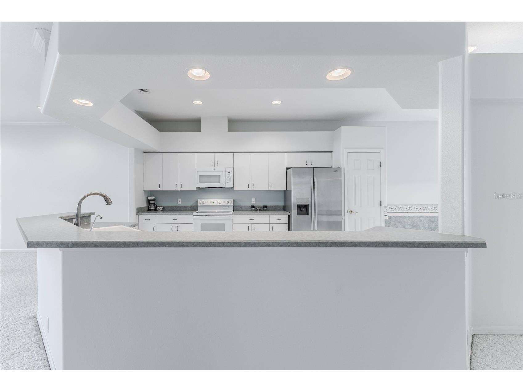 15033 Middle Fairway Drive Spring Hill FL 34609 W7880969 image27