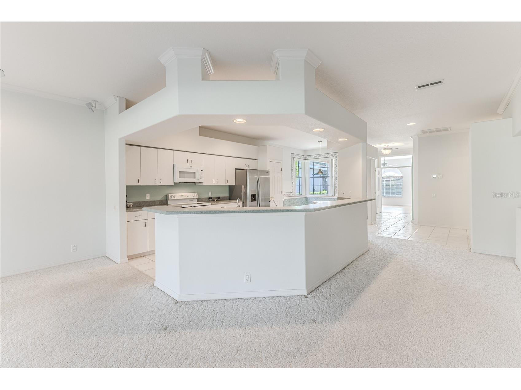 15033 Middle Fairway Drive Spring Hill FL 34609 W7880969 image29