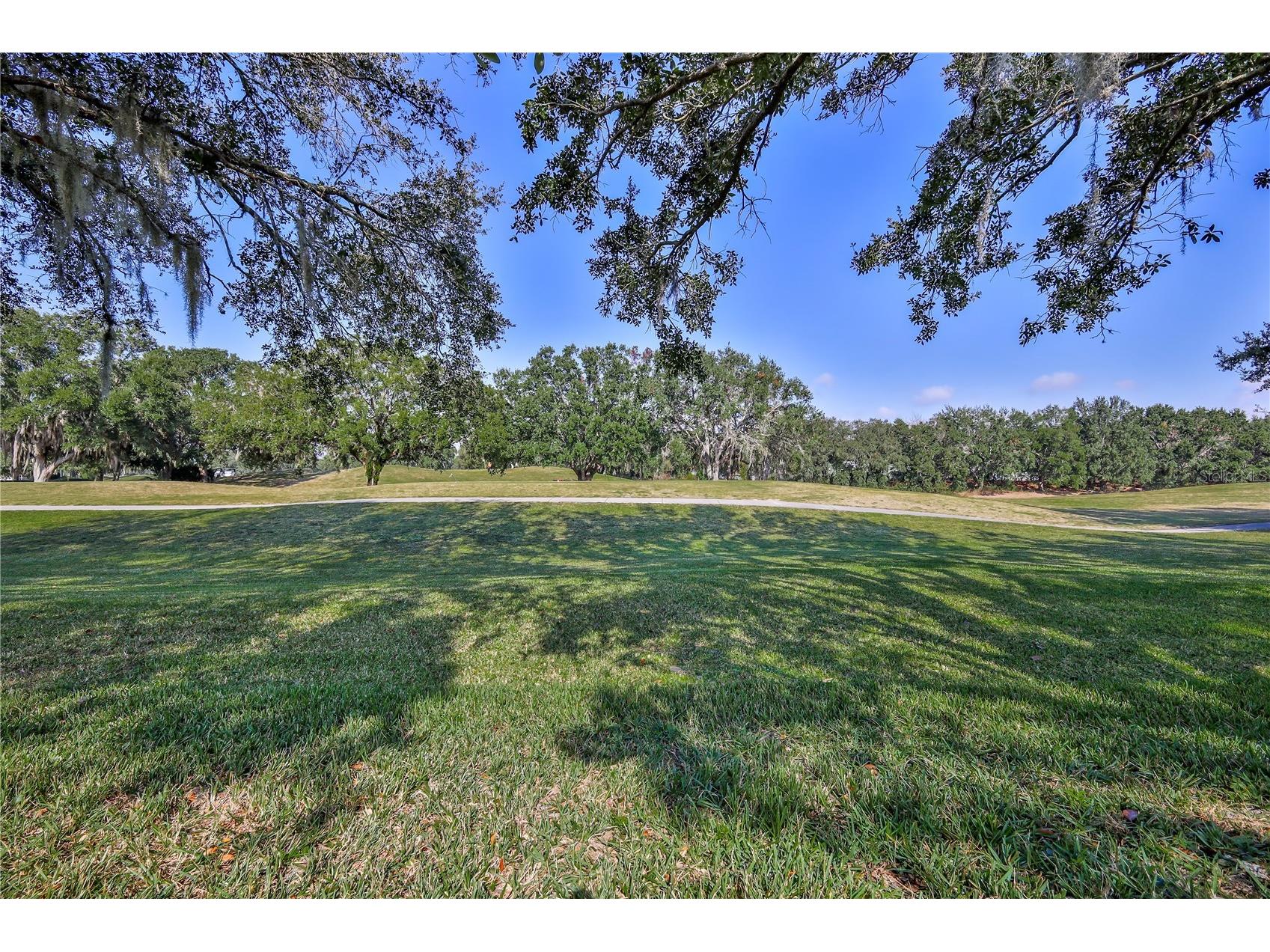 15033 Middle Fairway Drive Spring Hill FL 34609 W7880969 image49