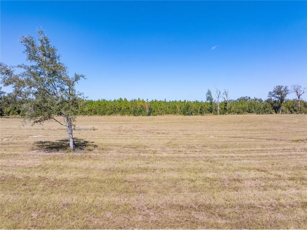 15034 N County Road 349 Live Oak FL 32060 GC535039 image30
