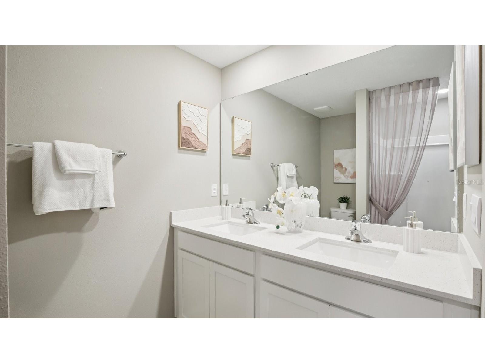15035 Coltman Hill Drive Wimauma FL 33598 TB8498680 image29