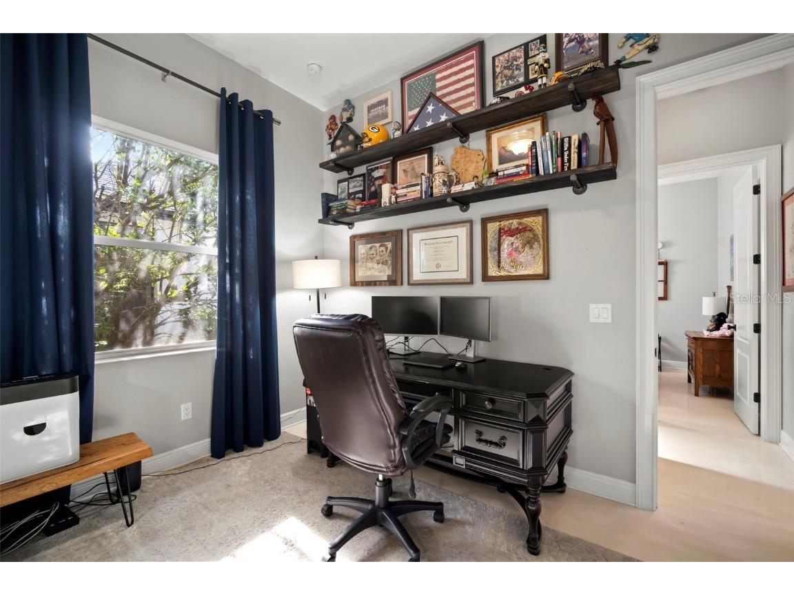 15035 Wind Whisper Drive Odessa FL 33556 TB8460764 image25