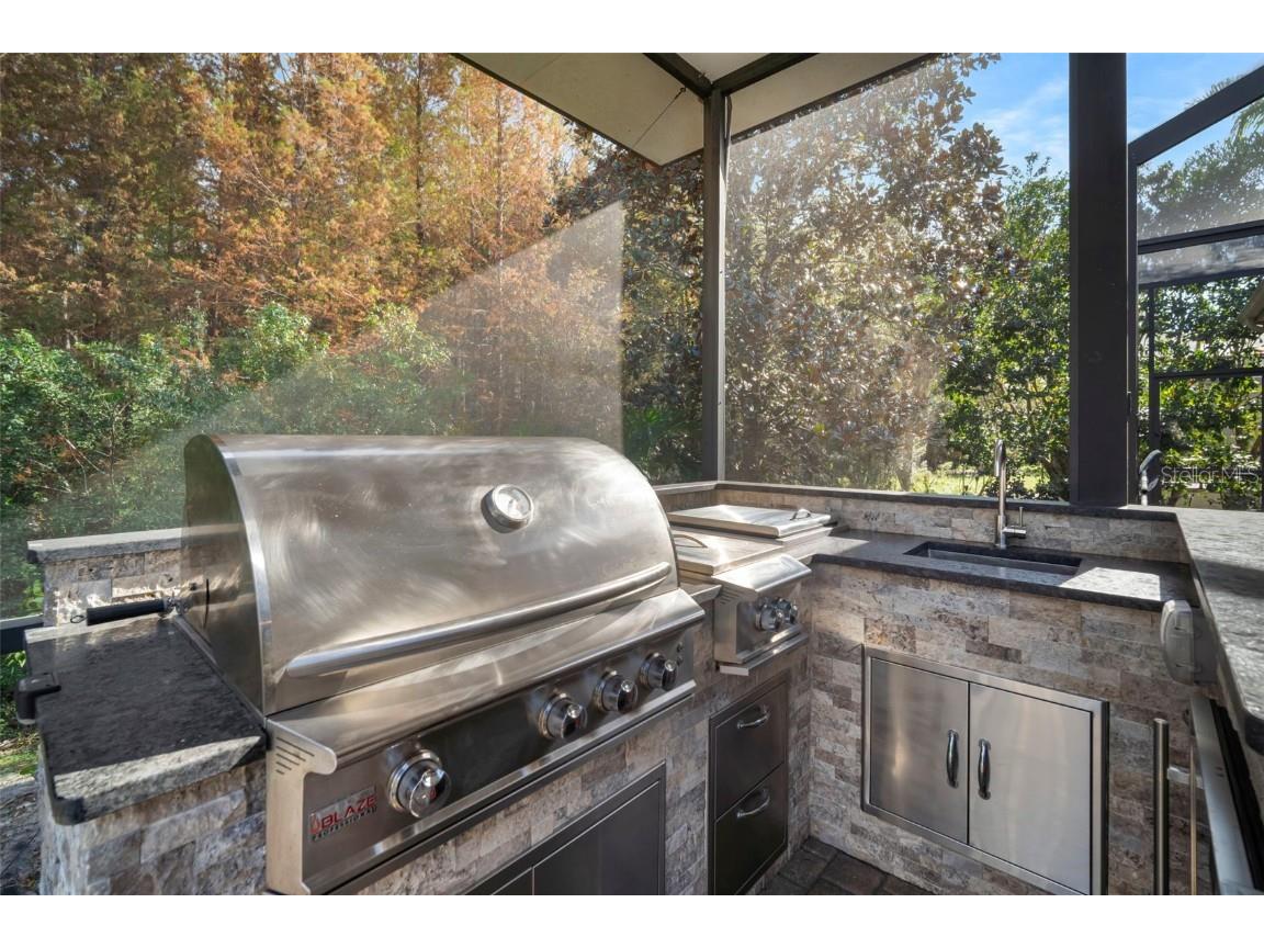 15035 Wind Whisper Drive Odessa FL 33556 TB8460764 image37