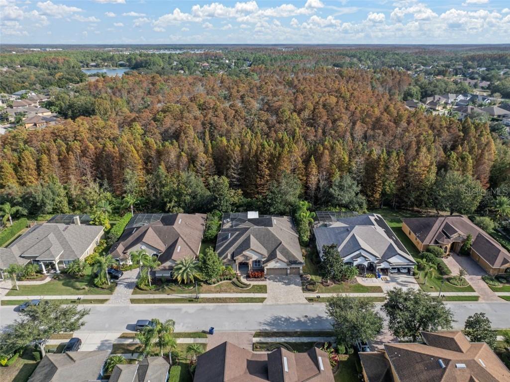 15035 Wind Whisper Drive Odessa FL 33556 TB8460764 image42