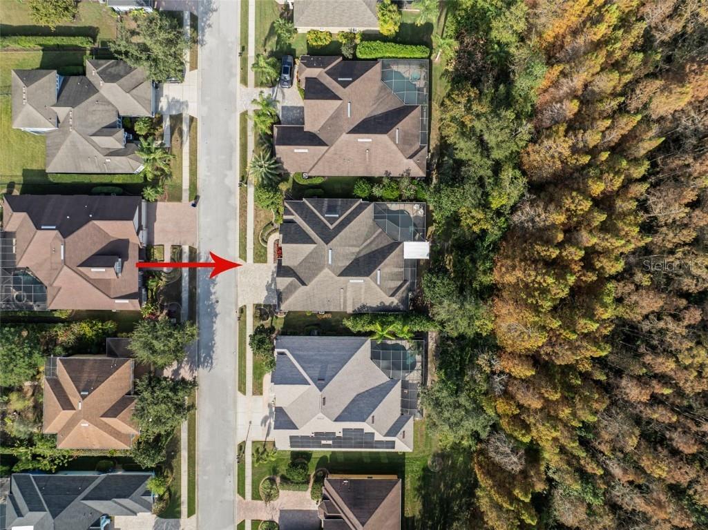 15035 Wind Whisper Drive Odessa FL 33556 TB8460764 image44