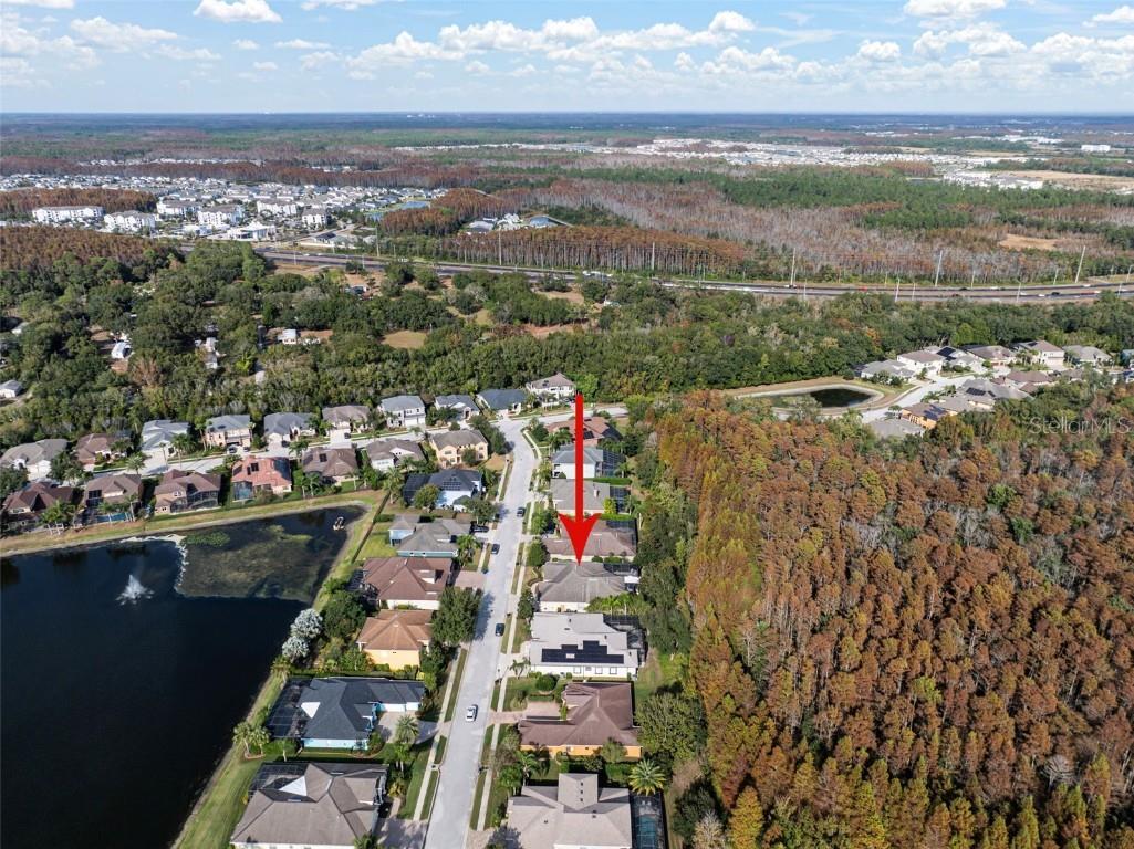 15035 Wind Whisper Drive Odessa FL 33556 TB8460764 image45