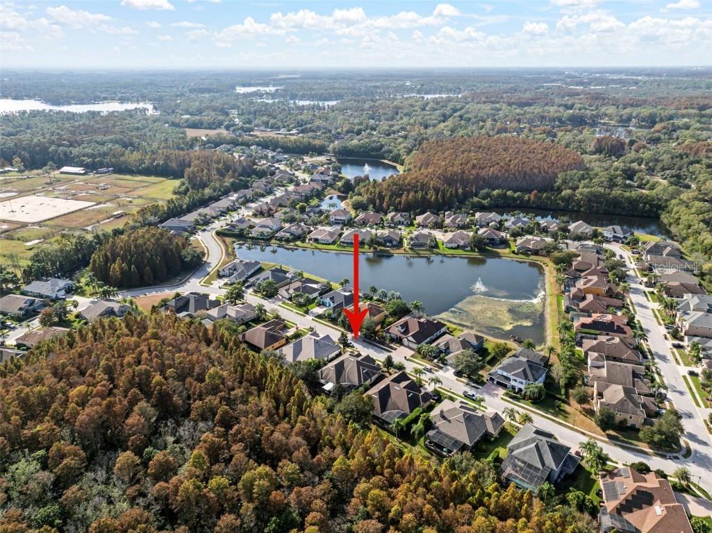 15035 Wind Whisper Drive Odessa FL 33556 TB8460764 image47