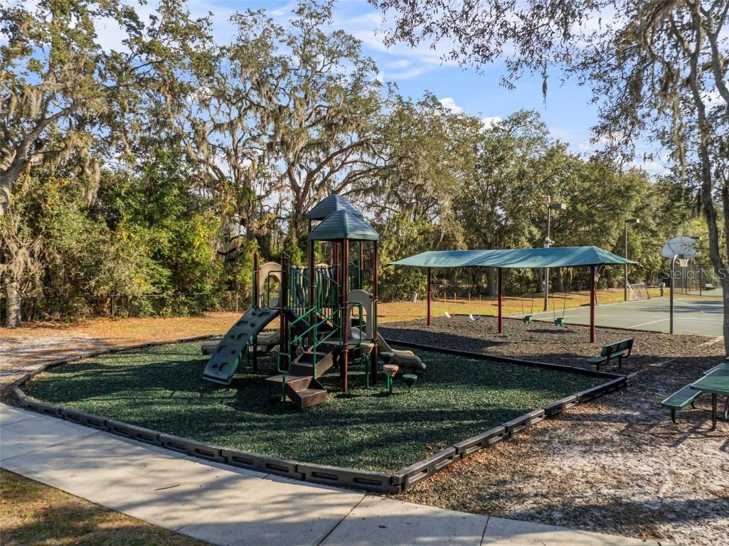 15035 Wind Whisper Drive Odessa FL 33556 TB8460764 image49