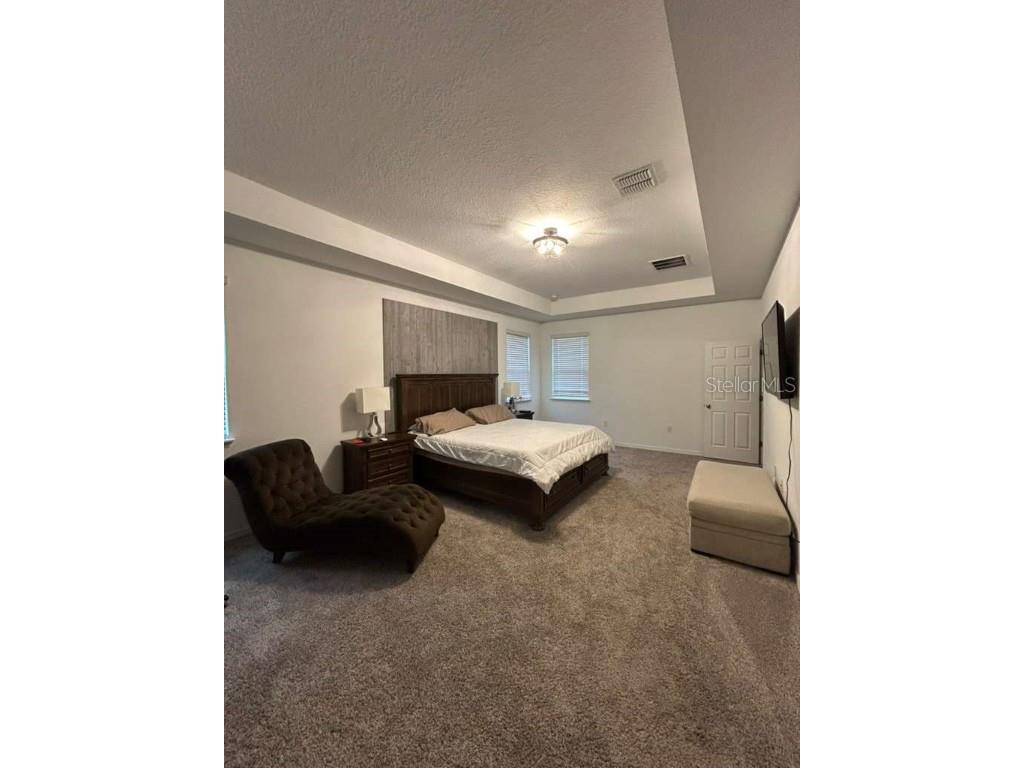 15037 Willow Arbor Circle Orlando FL 32824 S5139335 image8