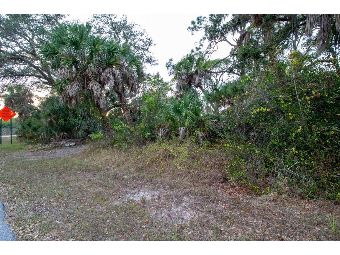 15038 Cresent Avenue Port Charlotte FL 33953 D6145277 image6