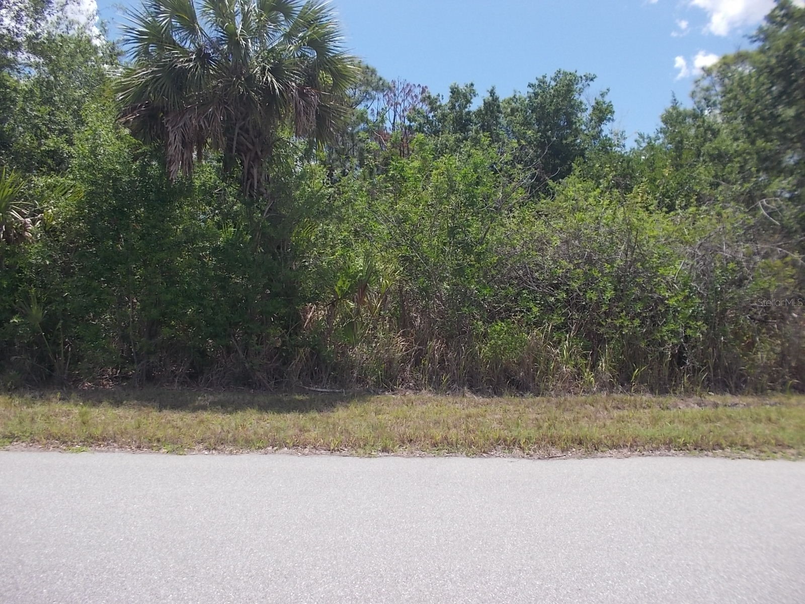 15038 Dorn Terrace Port Charlotte FL 33953 C7526588 image10