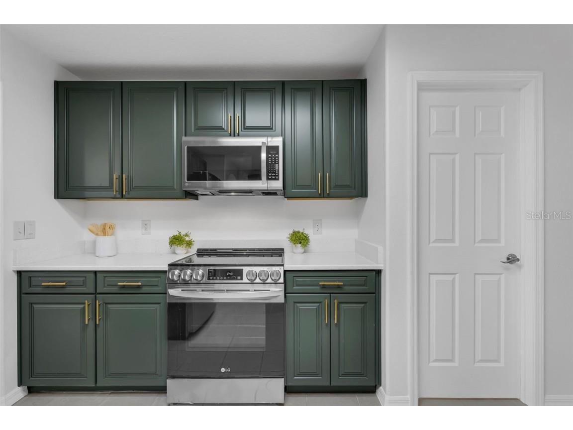 15038 Willow Lane Tavares FL 32778 O6316126 image15